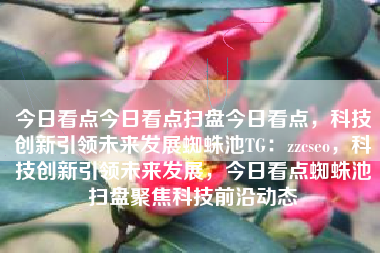 今日看点今日看点扫盘今日看点，科技创新引领未来发展蜘蛛池TG：zzcseo，科技创新引领未来发展，今日看点蜘蛛池扫盘聚焦科技前沿动态