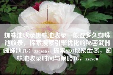 蜘蛛池收录蜘蛛池收录一般要多久蜘蛛池收录，探索搜索引擎优化的秘密武器蜘蛛池TG：zzcseo，探索SEO秘密武器，蜘蛛池收录时间与策略TG，zzcseo