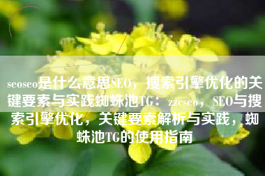 seoseo是什么意思SEO，搜索引擎优化的关键要素与实践蜘蛛池TG：zzcseo，SEO与搜索引擎优化，关键要素解析与实践，蜘蛛池TG的使用指南