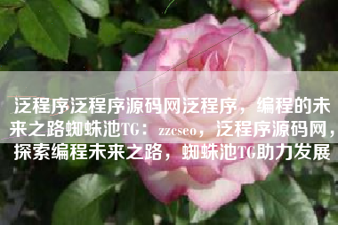 泛程序泛程序源码网泛程序，编程的未来之路蜘蛛池TG：zzcseo，泛程序源码网，探索编程未来之路，蜘蛛池TG助力发展