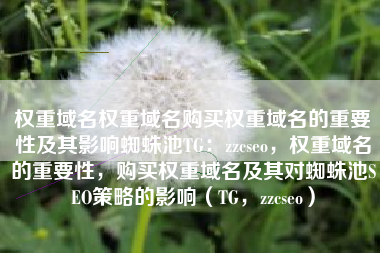 权重域名权重域名购买权重域名的重要性及其影响蜘蛛池TG：zzcseo，权重域名的重要性，购买权重域名及其对蜘蛛池SEO策略的影响（TG，zzcseo）