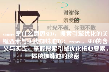seoseo是什么意思SEO，搜索引擎优化的关键要素与实践蜘蛛池TG：zzcseo，SEO的含义与实践，掌握搜索引擎优化核心要素，揭秘蜘蛛池的秘密
