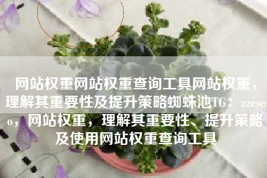 网站权重网站权重查询工具网站权重，理解其重要性及提升策略蜘蛛池TG：zzcseo，网站权重，理解其重要性、提升策略及使用网站权重查询工具