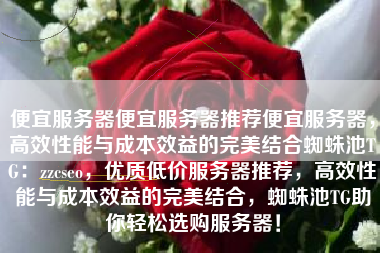 便宜服务器便宜服务器推荐便宜服务器，高效性能与成本效益的完美结合蜘蛛池TG：zzcseo，优质低价服务器推荐，高效性能与成本效益的完美结合，蜘蛛池TG助你轻松选购服务器！
