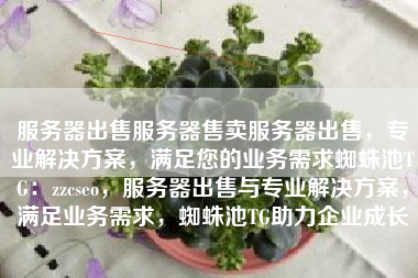 服务器出售服务器售卖服务器出售，专业解决方案，满足您的业务需求蜘蛛池TG：zzcseo，服务器出售与专业解决方案，满足业务需求，蜘蛛池TG助力企业成长