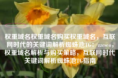 权重域名权重域名购买权重域名，互联网时代的关键词解析蜘蛛池TG：zzcseo，权重域名解析与购买策略，互联网时代关键词解析蜘蛛池TG指南