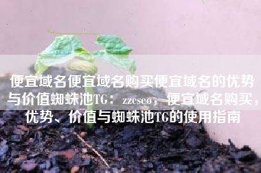 便宜域名便宜域名购买便宜域名的优势与价值蜘蛛池TG：zzcseo，便宜域名购买，优势、价值与蜘蛛池TG的使用指南