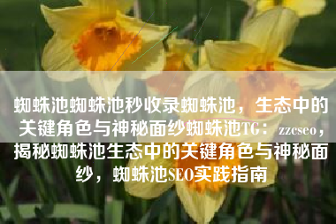 蜘蛛池蜘蛛池秒收录蜘蛛池，生态中的关键角色与神秘面纱蜘蛛池TG：zzcseo，揭秘蜘蛛池生态中的关键角色与神秘面纱，蜘蛛池SEO实践指南