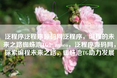 泛程序泛程序源码网泛程序，编程的未来之路蜘蛛池TG：zzcseo，泛程序源码网，探索编程未来之路，蜘蛛池TG助力发展