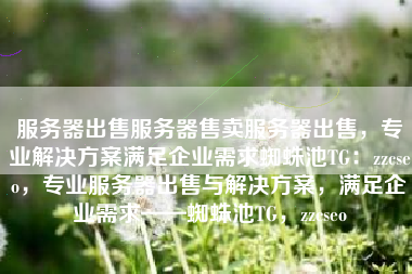 服务器出售服务器售卖服务器出售，专业解决方案满足企业需求蜘蛛池TG：zzcseo，专业服务器出售与解决方案，满足企业需求——蜘蛛池TG，zzcseo