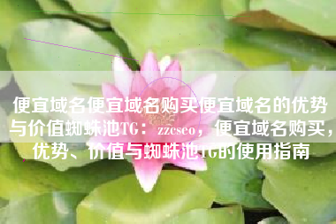 便宜域名便宜域名购买便宜域名的优势与价值蜘蛛池TG：zzcseo，便宜域名购买，优势、价值与蜘蛛池TG的使用指南