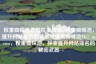 权重蜘蛛池百度权重蜘蛛ip权重蜘蛛池，提升网站排名的新领域探索蜘蛛池TG：zzcseo，权重蜘蛛池，探索提升网站排名的秘密武器