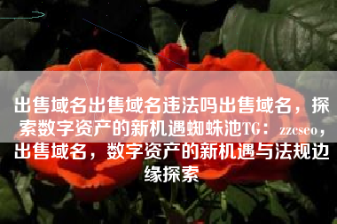 出售域名出售域名违法吗出售域名，探索数字资产的新机遇蜘蛛池TG：zzcseo，出售域名，数字资产的新机遇与法规边缘探索
