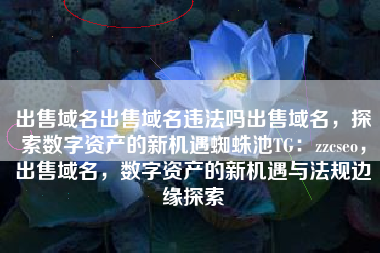 出售域名出售域名违法吗出售域名，探索数字资产的新机遇蜘蛛池TG：zzcseo，出售域名，数字资产的新机遇与法规边缘探索