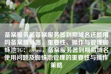 备案服务器备案服务器到期域名还能用吗备案服务器，重要性、操作与管理蜘蛛池TG：zzcseo，备案服务器到期后域名使用问题及蜘蛛池管理的重要性与操作策略