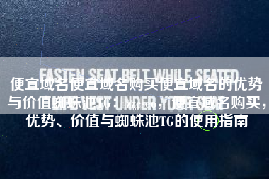 便宜域名便宜域名购买便宜域名的优势与价值蜘蛛池TG：zzcseo，便宜域名购买，优势、价值与蜘蛛池TG的使用指南
