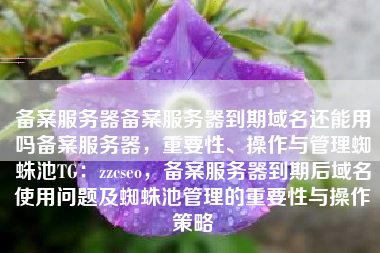 备案服务器备案服务器到期域名还能用吗备案服务器，重要性、操作与管理蜘蛛池TG：zzcseo，备案服务器到期后域名使用问题及蜘蛛池管理的重要性与操作策略