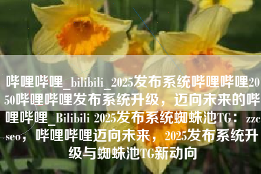 哔哩哔哩_bilibili_2025发布系统哔哩哔哩2050哔哩哔哩发布系统升级，迈向未来的哔哩哔哩_Bilibili 2025发布系统蜘蛛池TG：zzcseo，哔哩哔哩迈向未来，2025发布系统升级与蜘蛛池TG新动向