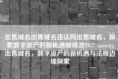 出售域名出售域名违法吗出售域名，探索数字资产的新机遇蜘蛛池TG：zzcseo，出售域名，数字资产的新机遇与法规边缘探索