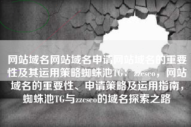 网站域名网站域名申请网站域名的重要性及其运用策略蜘蛛池TG：zzcseo，网站域名的重要性、申请策略及运用指南，蜘蛛池TG与zzcseo的域名探索之路
