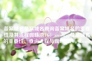 备案域名备案域名查询备案域名的重要性及其流程蜘蛛池TG：zzcseo，备案域名的重要性、查询流程与蜘蛛池TG，zzcseo