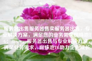 服务器出售服务器售卖服务器出售，专业解决方案，满足您的业务需求蜘蛛池TG：zzcseo，服务器出售与专业解决方案，满足业务需求，蜘蛛池TG助力企业成长