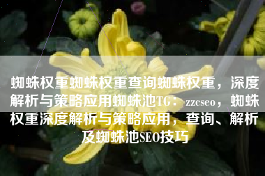蜘蛛权重蜘蛛权重查询蜘蛛权重，深度解析与策略应用蜘蛛池TG：zzcseo，蜘蛛权重深度解析与策略应用，查询、解析及蜘蛛池SEO技巧