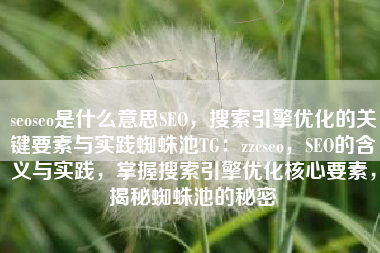 seoseo是什么意思SEO，搜索引擎优化的关键要素与实践蜘蛛池TG：zzcseo，SEO的含义与实践，掌握搜索引擎优化核心要素，揭秘蜘蛛池的秘密