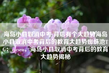 海岛小县取消中考 背后有个大趋势海岛小县取消中考背后的教育大趋势蜘蛛池TG：zzcseo，海岛小县取消中考背后的教育大趋势揭秘