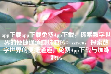 app下载app下载免费App下载，探索数字世界的便捷通道蜘蛛池TG：zzcseo，探索数字世界的便捷通道，免费App下载与蜘蛛池TG