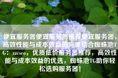 便宜服务器便宜服务器推荐便宜服务器，高效性能与成本效益的完美结合蜘蛛池TG：zzcseo，优质低价服务器推荐，高效性能与成本效益的优选，蜘蛛池TG助你轻松选购服务器！
