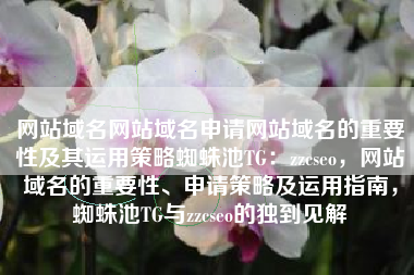 网站域名网站域名申请网站域名的重要性及其运用策略蜘蛛池TG：zzcseo，网站域名的重要性、申请策略及运用指南，蜘蛛池TG与zzcseo的独到见解