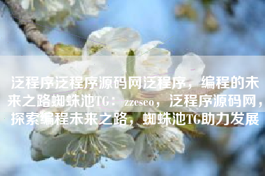 泛程序泛程序源码网泛程序，编程的未来之路蜘蛛池TG：zzcseo，泛程序源码网，探索编程未来之路，蜘蛛池TG助力发展