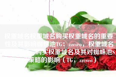 权重域名权重域名购买权重域名的重要性及其影响蜘蛛池TG：zzcseo，权重域名的重要性，购买权重域名及其对蜘蛛池SEO策略的影响（TG，zzcseo）
