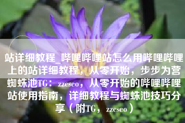 站详细教程_哔哩哔哩站怎么用哔哩哔哩上的站详细教程，从零开始，步步为营蜘蛛池TG：zzcseo，从零开始的哔哩哔哩站使用指南，详细教程与蜘蛛池技巧分享（附TG，zzcseo）