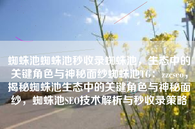 蜘蛛池蜘蛛池秒收录蜘蛛池，生态中的关键角色与神秘面纱蜘蛛池TG：zzcseo，揭秘蜘蛛池生态中的关键角色与神秘面纱，蜘蛛池SEO技术解析与秒收录策略