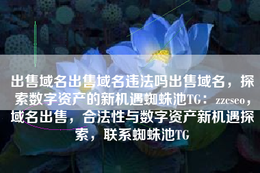 出售域名出售域名违法吗出售域名，探索数字资产的新机遇蜘蛛池TG：zzcseo，域名出售，合法性与数字资产新机遇探索，联系蜘蛛池TG