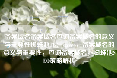 备案域名备案域名查询备案域名的意义与重要性蜘蛛池TG：zzcseo，备案域名的意义与重要性，查询备案域名，蜘蛛池SEO策略解析