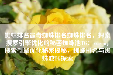 蜘蛛排名最毒蜘蛛排名蜘蛛排名，探索搜索引擎优化的秘密蜘蛛池TG：zzcseo，搜索引擎优化秘密揭秘，蜘蛛排名与蜘蛛池TG探索