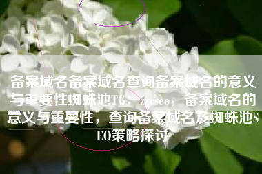 备案域名备案域名查询备案域名的意义与重要性蜘蛛池TG：zzcseo，备案域名的意义与重要性，查询备案域名及蜘蛛池SEO策略探讨