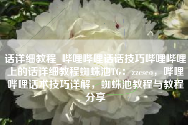 话详细教程_哔哩哔哩话话技巧哔哩哔哩上的话详细教程蜘蛛池TG：zzcseo，哔哩哔哩话术技巧详解，蜘蛛池教程与教程分享