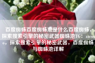 百度蜘蛛百度蜘蛛池是什么百度蜘蛛，探索搜索引擎的秘密武器蜘蛛池TG：zzcseo，探索搜索引擎的秘密武器，百度蜘蛛与蜘蛛池详解