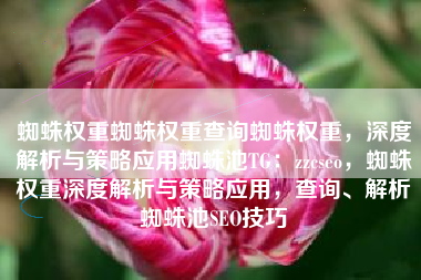 蜘蛛权重蜘蛛权重查询蜘蛛权重，深度解析与策略应用蜘蛛池TG：zzcseo，蜘蛛权重深度解析与策略应用，查询、解析蜘蛛池SEO技巧