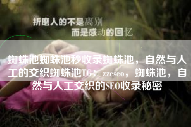 蜘蛛池蜘蛛池秒收录蜘蛛池，自然与人工的交织蜘蛛池TG：zzcseo，蜘蛛池，自然与人工交织的SEO收录秘密
