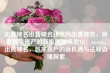 出售域名出售域名违法吗出售域名，探索数字资产的新机遇蜘蛛池TG：zzcseo，出售域名，数字资产的新机遇与法规边缘探索