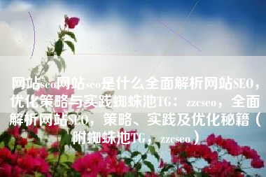 网站seo网站seo是什么全面解析网站SEO，优化策略与实践蜘蛛池TG：zzcseo，全面解析网站SEO，策略、实践及优化秘籍（附蜘蛛池TG，zzcseo）