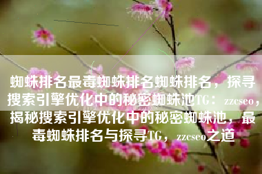 蜘蛛排名最毒蜘蛛排名蜘蛛排名，探寻搜索引擎优化中的秘密蜘蛛池TG：zzcseo，揭秘搜索引擎优化中的秘密蜘蛛池，最毒蜘蛛排名与探寻TG，zzcseo之道