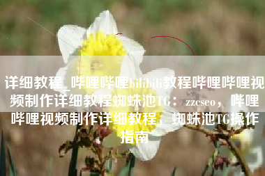 详细教程_哔哩哔哩bilibili教程哔哩哔哩视频制作详细教程蜘蛛池TG：zzcseo，哔哩哔哩视频制作详细教程，蜘蛛池TG操作指南
