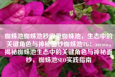 蜘蛛池蜘蛛池秒收录蜘蛛池，生态中的关键角色与神秘面纱蜘蛛池TG：zzcseo，揭秘蜘蛛池生态中的关键角色与神秘面纱，蜘蛛池SEO实践指南