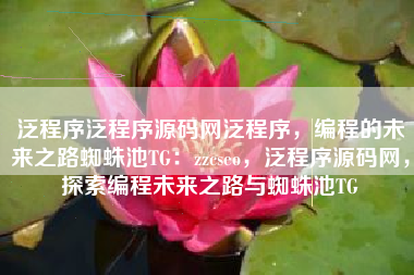 泛程序泛程序源码网泛程序，编程的未来之路蜘蛛池TG：zzcseo，泛程序源码网，探索编程未来之路与蜘蛛池TG